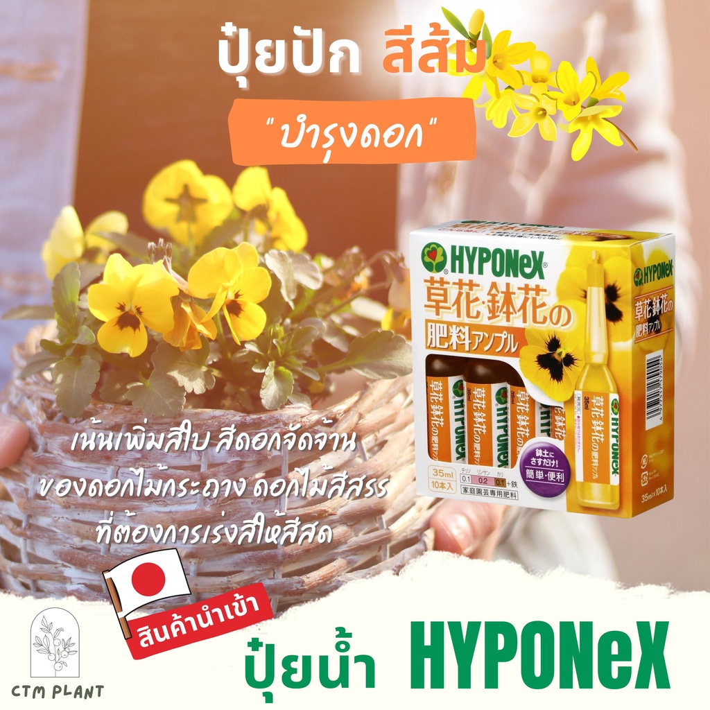 hyponex-ปุ๋ยปัก-hyponex-ampoule-แยกขาย-1-หลอด-ปุ๋ยน้ำจากประเทศญี่ปุ่น-ปุ๋ยปักญี่ปุ่น