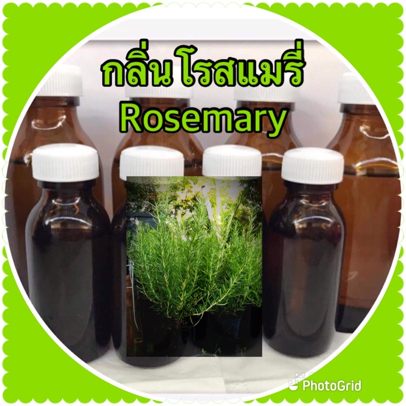 หัวน้ำหอมทำสบู่กลิ่นโรสแมรี่-rosemary