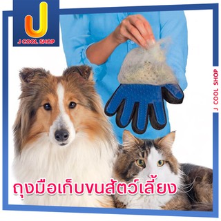 TrueTouch นวัตกรรมถุงมือเก็บขนสัตว์เลี้ยง ถุงมือทำความสะอาด ลูบลื่นสบาย