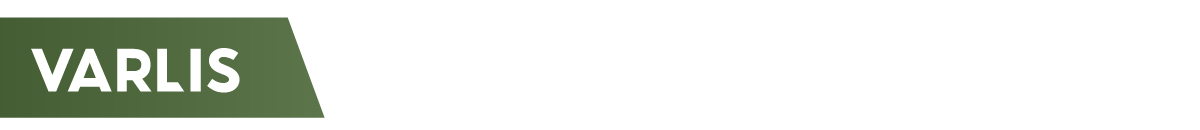 webp_image