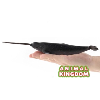 Animal Kingdom - โมเดลสัตว์ ปลาวาฬยูนิคอร์น ขนาด 26.50 CM (จากสงขลา)