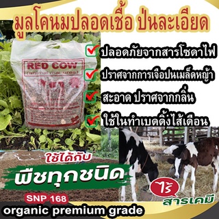 มูลโคนมปลอดเชื้อ ป่นละเอียด คุณภาพสูง100% พร้อมใช้ (ฟาร์มปิด)ออแกนิค100%