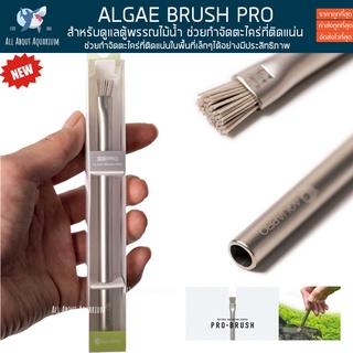 AQUAPRO ที่ขูดตะไคร่บนหิน ขอนไม้ ใบไม้ PRO-BRUSH เป็นเครื่องมือสำหรับการขูดตะไคร่บนหินหรือวัสดุ ตู้พรรณไม้น้ำ ตู้ไม้น้ำ