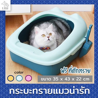 ภาพหน้าปกสินค้าBspace - กระบะทรายแมว ฟรีที่ตัก ห้องน้ำแมวขนาดใหญ่ ซึ่งคุณอาจชอบราคาและรีวิวของสินค้านี้