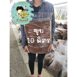 ขุยมะพร้าว 10ลิตร ใช้ปลูกไม้ตัดชำ ไม้ที่รากน้อย