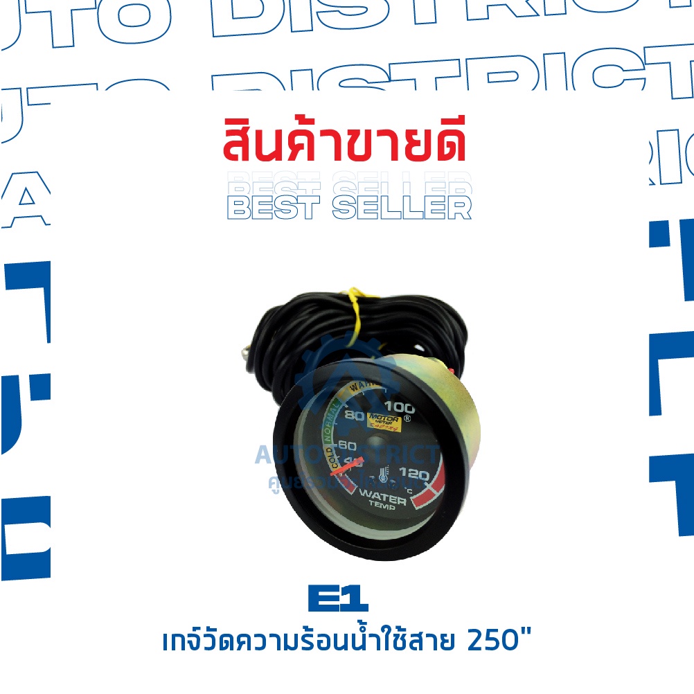 e1-เกจ์วัดความร้อนน้ำใช้สาย-250