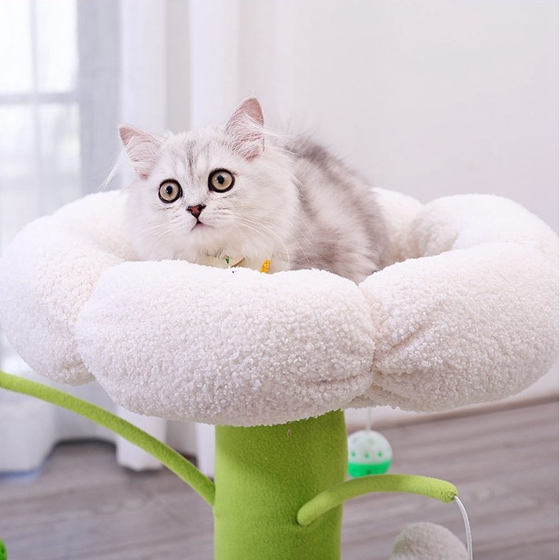 cat-accessories-คอนโดแมว-ขนาดเล็ก-ของเล่นแมว-ที่นอนแมว-ด้านบนและมีตุ๊กตาผ้าสำหรับกัดและข่วนเล่น-size-44x40-cm-สีเขียว