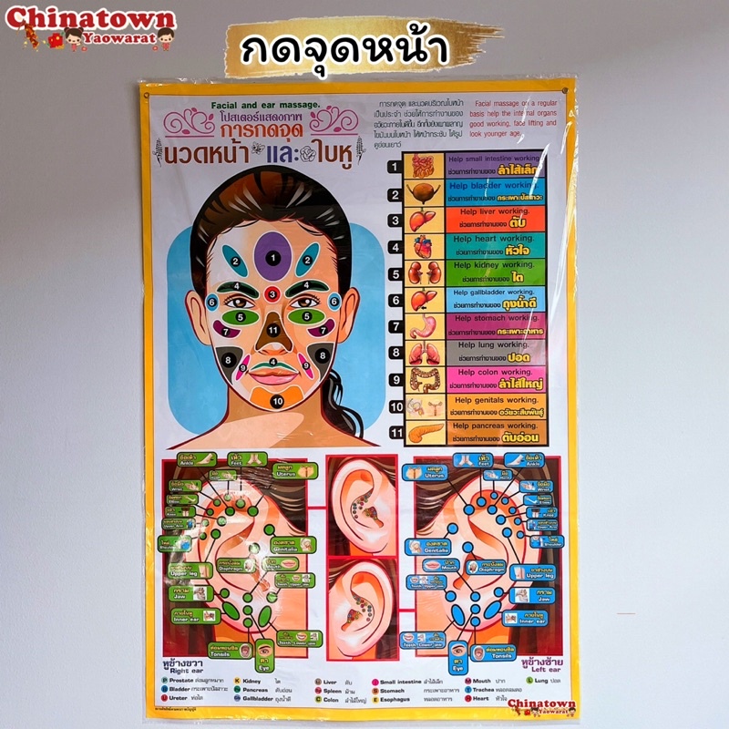โปสเตอร์-กดจุดหน้า-poster-ต่อมน้ำเหลือง-นวด-นวดแผนไทย-ฤษีดัดตน-กดจุดรักษาโรค-การนวดกดจุด-ลมปราณ-นวดแผนโบราณ-นวดแผนไทย