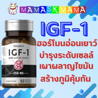 ภาพหน้าปกสินค้าIGF-1 โกรทฮอร์โมน Growth Hormone 60 แคปซูล ฮอร์โมน เจริญเติบโต เพิ่มความสูง ฮอร์โมนแห่งความหนุ่มสาว วิตามินทำให้เด็กลง ที่เกี่ยวข้อง