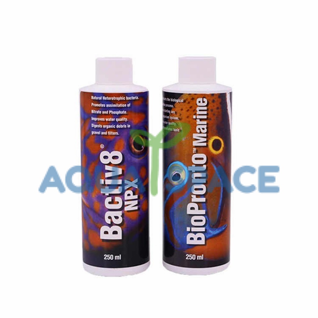 two-little-fishies-bactiv8-npx-แบคทีเรียสำหรับตู้ปลาทะเลและปะการังคุณภาพสูง-นำเข้าจาก-usa-ขนาด-250ml