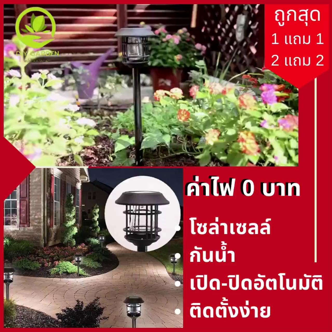 solar-light-ไฟปักสนาม-โซล่าเซลล์-ไฟประดับ-พลังงานแสงอาทิตย์-แต่งร้าน-แต่งบ้าน-จัดสวน-แต่งสวน-แต่งโรงแรม-แต่งรีสอร์ท