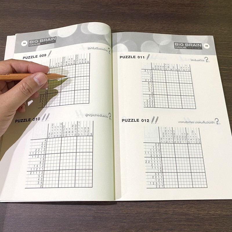 เกมปริศนาภาพ-big-brain-hanjie-เล่ม-1