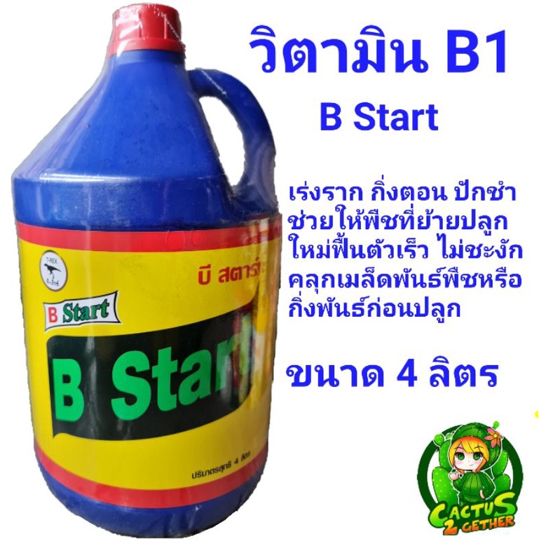 น้ำยาเร่งราก-วิตามินบี1-b-start-ฝาแดง-ขนาดแกลลอน4ลิตร