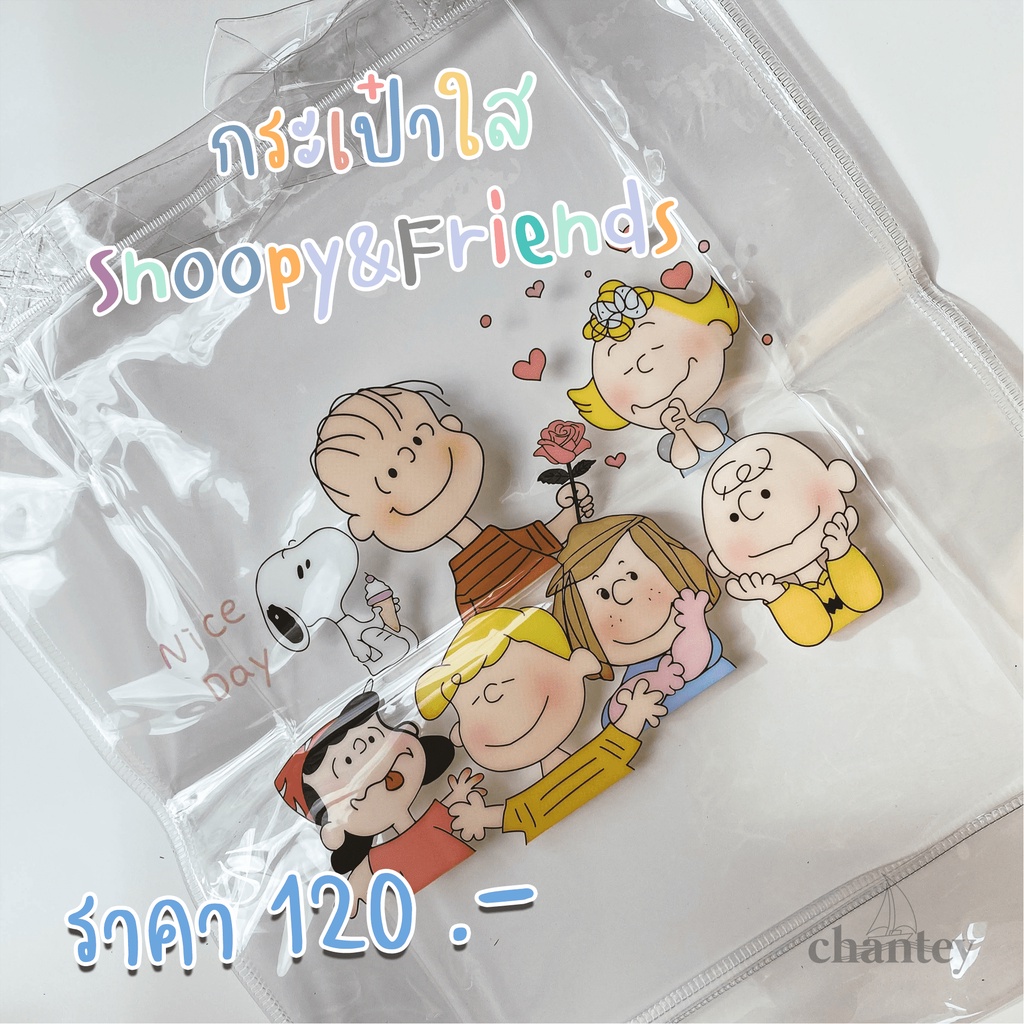 พร้อมส่ง-กระเป๋าใสลายสนูปปี้-amp-เพื่อน-กระเป๋าใสใส่เอกสาร-snoopy-amp-friends