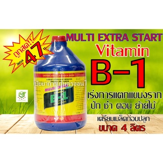 สินค้า B-1 บีวัน ขนาดถัง4ลิตรฝาแดงฉลากไทย คุ้มB-1ยาเร่งราก B1  บี1 บี-1 นำ้ยาเร่งราก