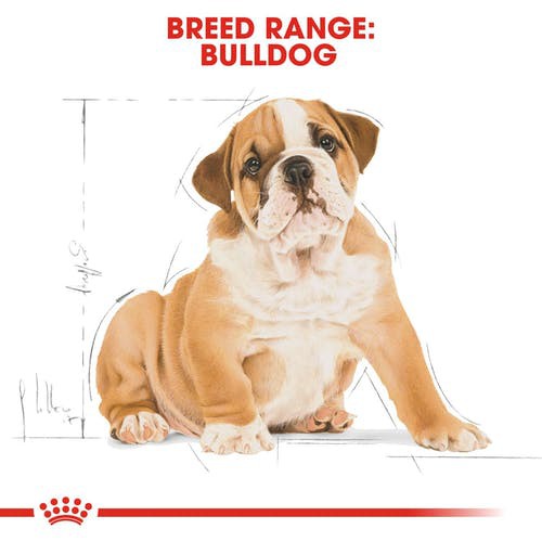 cheaper-royal-canin-bulldog-puppy-3kg-โรยัลคานิน-อาหารลูกสุนัข-บูลด็อก-ขนาด-3-กิโลกรัม