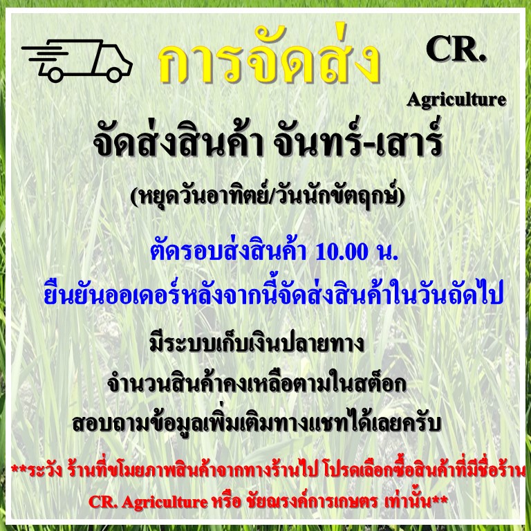 อิมิดาโคลพริด-70-ยาฆ่าเพลี้ย-สารตัวเดียวกับ-โปวาโด้-ยาฆ่าแมลง-สารกําจัดแมลง-แมลงปากดูด-ขนาด-100-กรัม-ตราnc