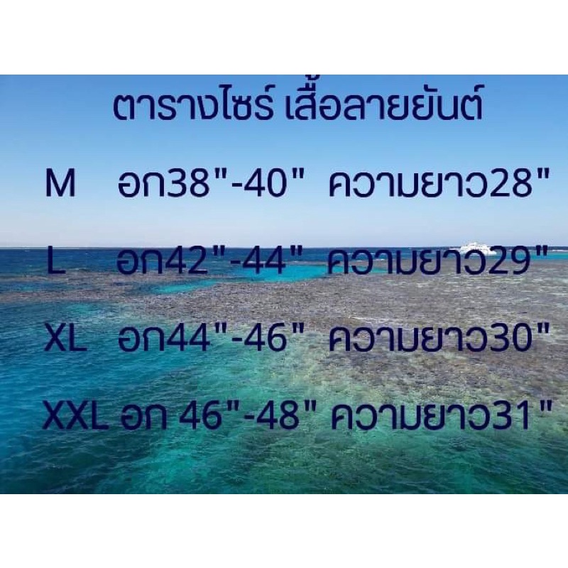 เสื้อยืดลายยันต์ลายท้าวเวชสุวรรณ