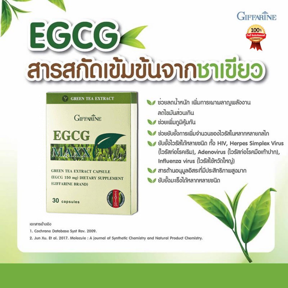 อาหารเสริม-ลดน้ำหนัก-สารสกัดจากชาเขียว-ชาเขียว-egcg-maxx-giffarine-อี-จี-ซี-จี-แมกซ์-กิฟฟารีน