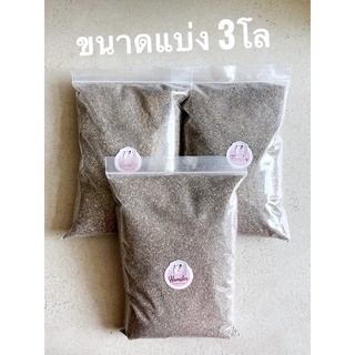 ภาพขนาดย่อของภาพหน้าปกสินค้าพร้อมส่ง ทรายบัดดี้ Bubby ทรายแฮมสเตอร์ 3 กิโล ทรายอาบนำ้ ทรายรองกรง สำหรับสัตว์เลี้ยง หนู จากร้าน hamsterthailand บน Shopee