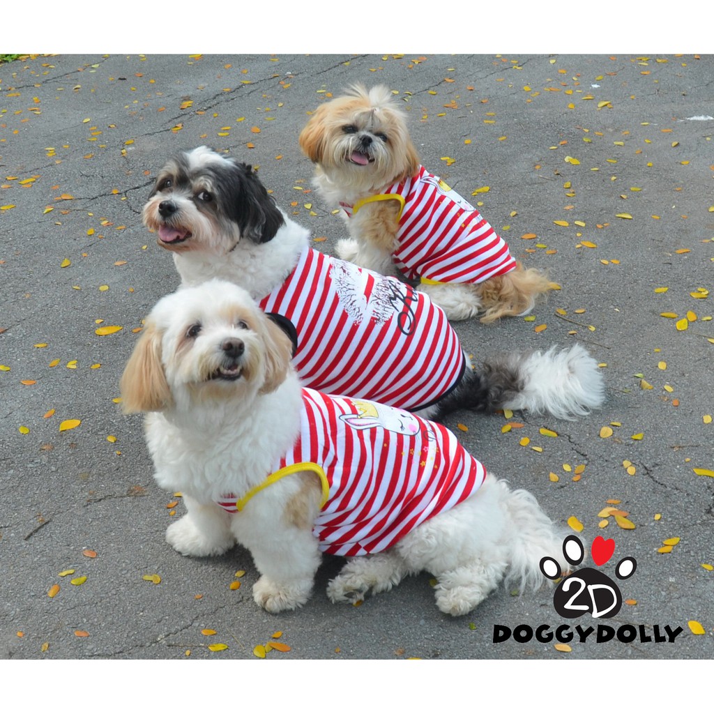 pet-clothes-doggydolly-เสื้อยืด-ชุดหมาอ้วน-เฟร้น-ปั๊ก-บีเกิ้ล-บลูด็อก-เสื้อผ้าสุนัข-เสื้อหมา-หมาอวบ-fp-t624