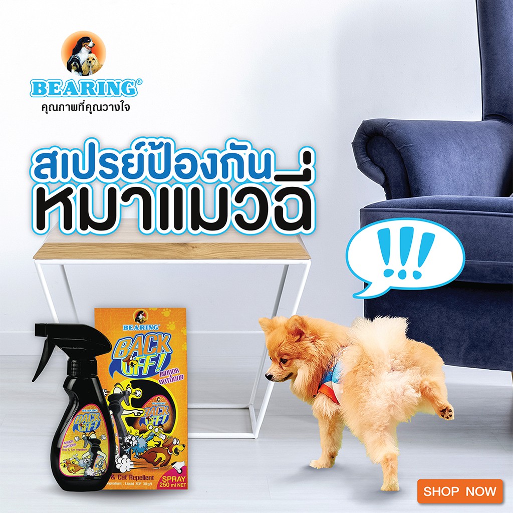 ภาพหน้าปกสินค้าBEARING Back Off Spray สเปรย์ป้องกันสุนัขและแมวฉี่ สเปรย์กันแมวฉี่ สเปรย์ฝึกขับถ่าย ป้องกันการกัดแทะ 250 ml จากร้าน bearingofficial บน Shopee