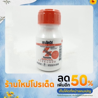 น้ำยากำจัดปลวก CHAINDRITE 30SC 250 ซีซี