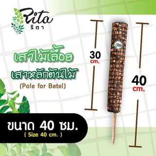 สินค้า หลักต้นไม้/เสาไม้เลื้อย/หลักไม้เลื้อย/เสามะพร้าวตาข่ายหลักไม้ไผ่ ยาว 40 ซม.