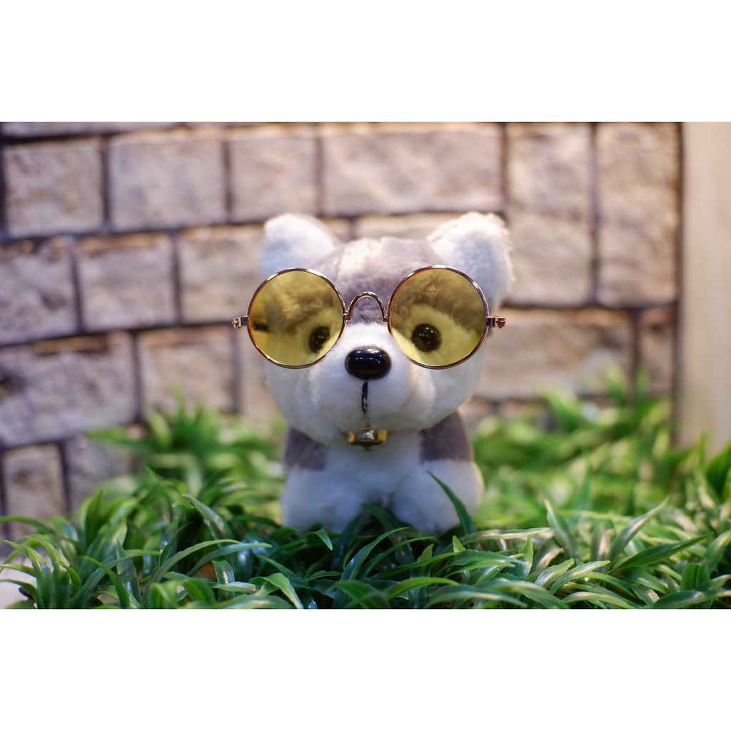 ภาพสินค้าแว่นตาน้องหมา น้องแมว จากร้าน bigbossaum บน Shopee ภาพที่ 6