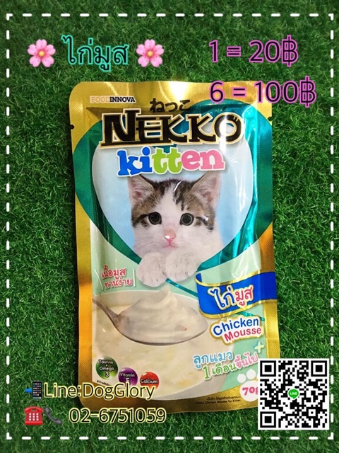 อาหารเปียก-ลูกแมว-แมวโต-nekko-เนโกะ-เน็กโกะ