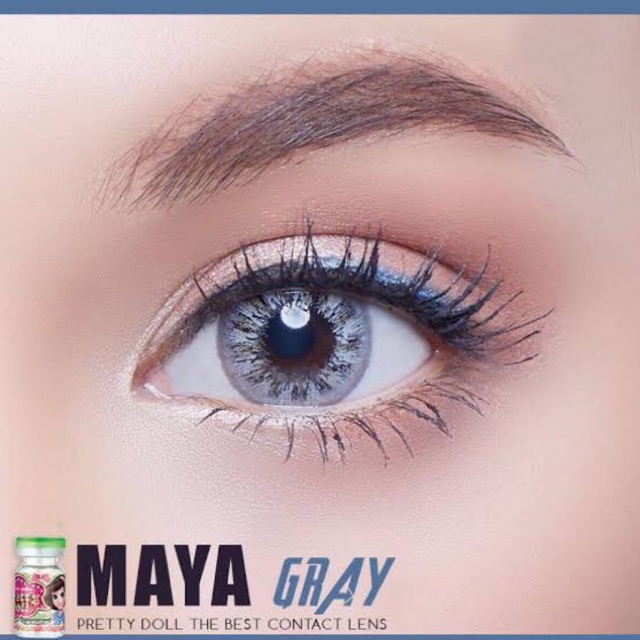 maya-slim-gray-บิ๊กอาย-โทนฝรั่ง-สีเทา-pitchy-พิชชี่-พิชชี่เลนส์-contact-lens-bigeyes-คอนแทคเลนส์-สายตาปกติ-ค่าสายตา