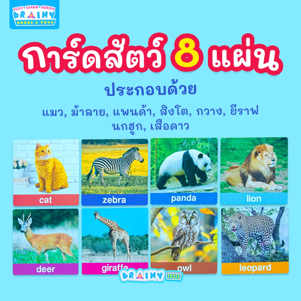 brainytoys-การ์ดเพื่อนสัตว์ขนฟูฟู