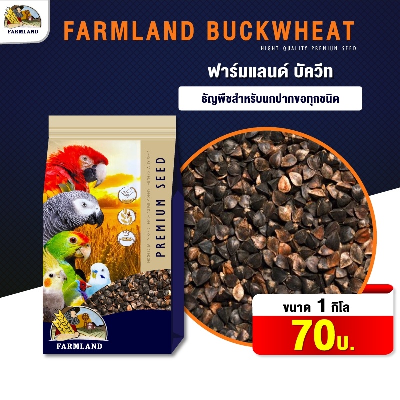 FarmLand Buckweed อาหารนก บัควิต ( ขนาด 1 กก ) | Shopee Thailand