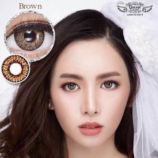 Pear Brown บิ๊กอาย สีน้ำตาล ขอบน้ำตาลเข้ม ลายหายาก ใส่สวย เซ็กซี่ ขยี้ใจ mini Dream Color1 ฝาม่วง Contact Lens Bigeyes