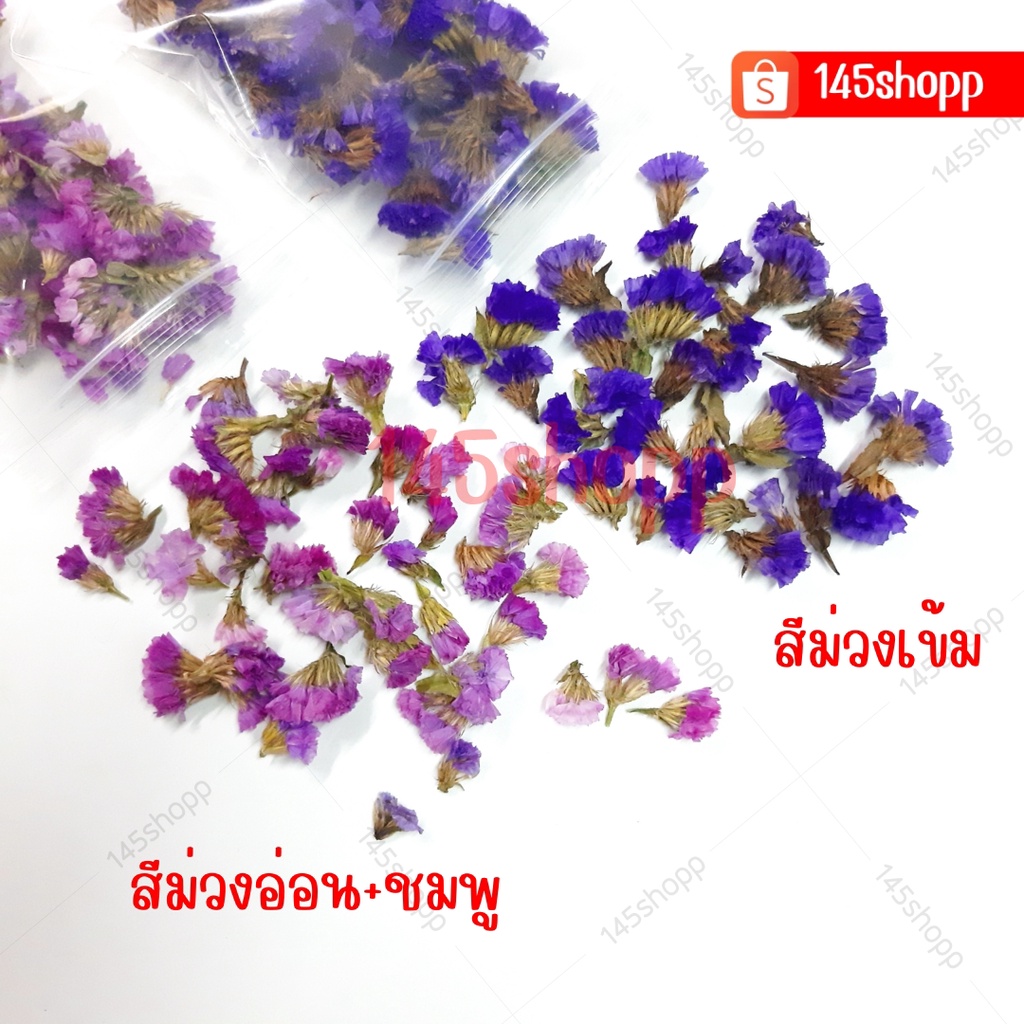 ดอกสแตติสแห้ง-อุปกรณ์-diy-สำหรับงานฝีมือ-ทำงานประดิษฐ์