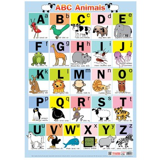 สินค้า โปสเตอร์ ABC Animals #EP-021 สื่อการเรียนรู้ปฐมวัย สื่อการเรียนการสอน โปสเตอร์พลาสติก PP