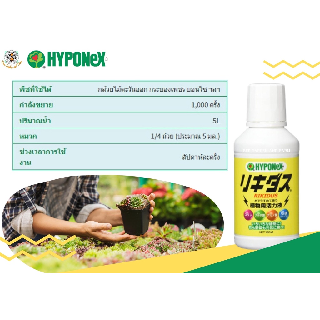 hyponex-liquidus-rikidus-ธาตุอาหารรอง-ขนาด-160-ml