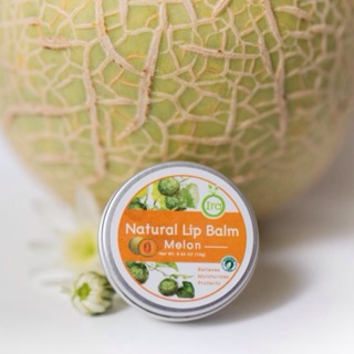ภาพหน้าปกสินค้าIra Natural Lip Balm: Melon ลิปแก้ปากดำ ลิปบาล์มไอรา ลิปมันแก้ปากดำ ลิปออแกนิค ลิปบาล์มออแกนิค ที่เกี่ยวข้อง