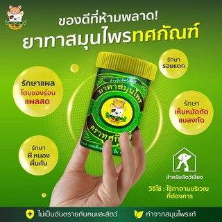 ภาพหน้าปกสินค้าหม่องสัตว์เลี้ยง ทาแผลสัตว์เลี้ยง ทาแมลงกัดต่อย เห็บหมัดกัด  แผลโดนของร้อน สุนัขผื่นคัน แมวผื่นคัน สัตว์เลี้ยงผื่นคัน ที่เกี่ยวข้อง