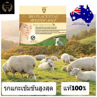 สินค้า รกแกะ100000 เข้มข้นสูงสุด bio sheep placental รกแกะ sheep placenta wealthy รกแกะอาหารเสริม รกแกะเม็ด รกแกะออสเตรเลีย