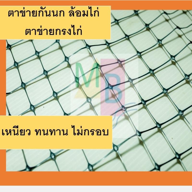 ตาข่ายเอ็นล้อมไก่-สีดำ-2x30-เมตร-ตาข่ายกันนก-ตาข่ายกรงไก่-ตาข่ายล้อมไก่-ล้อมไก่-ตาข่ายพลาสติก-ตาข่ายรั้วไก่