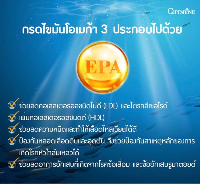 น้ำมันปลา1000-น้ำมันปลา-น้ำมันตับปลา-ยาบำรุงสมอง-เพิ่มการเรียนรู้-จำดี-ฉลาด-ยาบำรุงข้อเข่า-ข้อเสื่อมอักเสบ