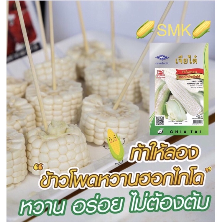 เมล็ดพันธุ์ข้าวโพดหวานฮอกไกโด-ทานสดได้-นำเข้าจากญี่ปุ่น-ทานดิบ-ไม่ต้องต้ม-หวาน-ข้าวโพด-ข้าวโพดทานดิบ-เจียไต๋