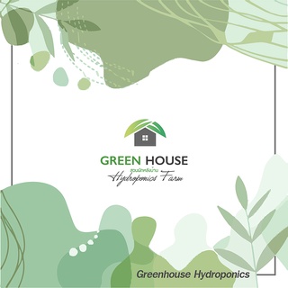 ภาพขนาดย่อของภาพหน้าปกสินค้าถ้วยปลูกผักไฮโดรโปนิกส์ สีเขียว 1 แผ่น มี 80 หลุมปลูก จากร้าน greenhousehydroponics บน Shopee ภาพที่ 4