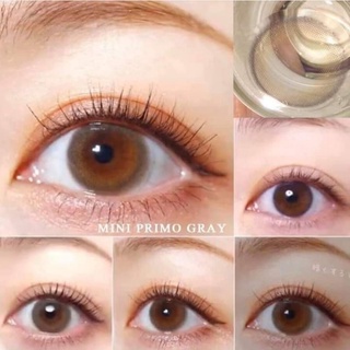 คอนแทคเลนส์ crimo gray/mini primo gray ขนาดมินิเท่าตาจริง ( พร้อมส่ง : สายตาปกติ / แฟชั่น )