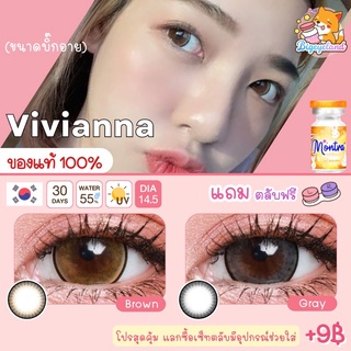 คอนแทคเลนส์ Vivianna Brown / Gray (Montra) ขนาดบิ๊กอาย 🌷 สีและลายคล้าย Dreamy ตาโต ตาหวาน