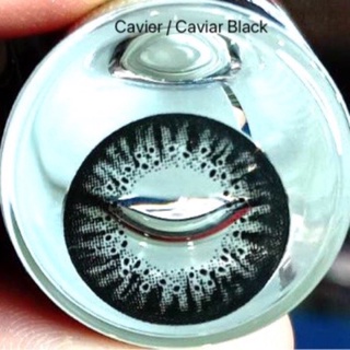 Caviar / Cavier Black บิ๊กอาย สีดำ ตาโต Contact lens Bigeyes คอนแทคเลนส์ สายตาสั้น ค่าสายตา -3.25 แฟชั่น โทนแบ๊ว ตากลมโต