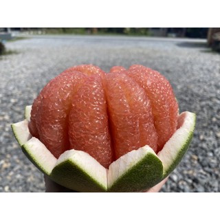 (pomelo fruit) ส้มโอทับทิมสยามไซร้1.3-1.4กก(ส้มตลาด)