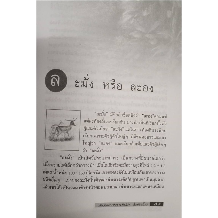 สัตว์ป่าสงวน-และสัตว์ป่าในเมืองไทย-ราคาพิเศษ-หนังสือตามสภาพ