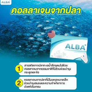 ภาพขนาดย่อของภาพหน้าปกสินค้าALBA อัลบา วิตามินไมเกรน นอนกรน วิตามินบำรุงสมอง แก้ปัญหานอนกรน จากร้าน tukta_640 บน Shopee ภาพที่ 6